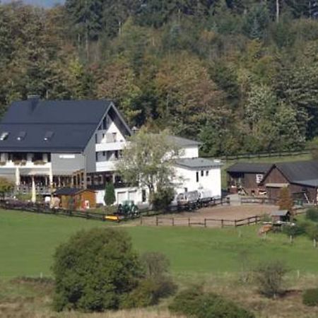 Ginsberger Heide Ξενοδοχείο Hilchenbach Δωμάτιο φωτογραφία
